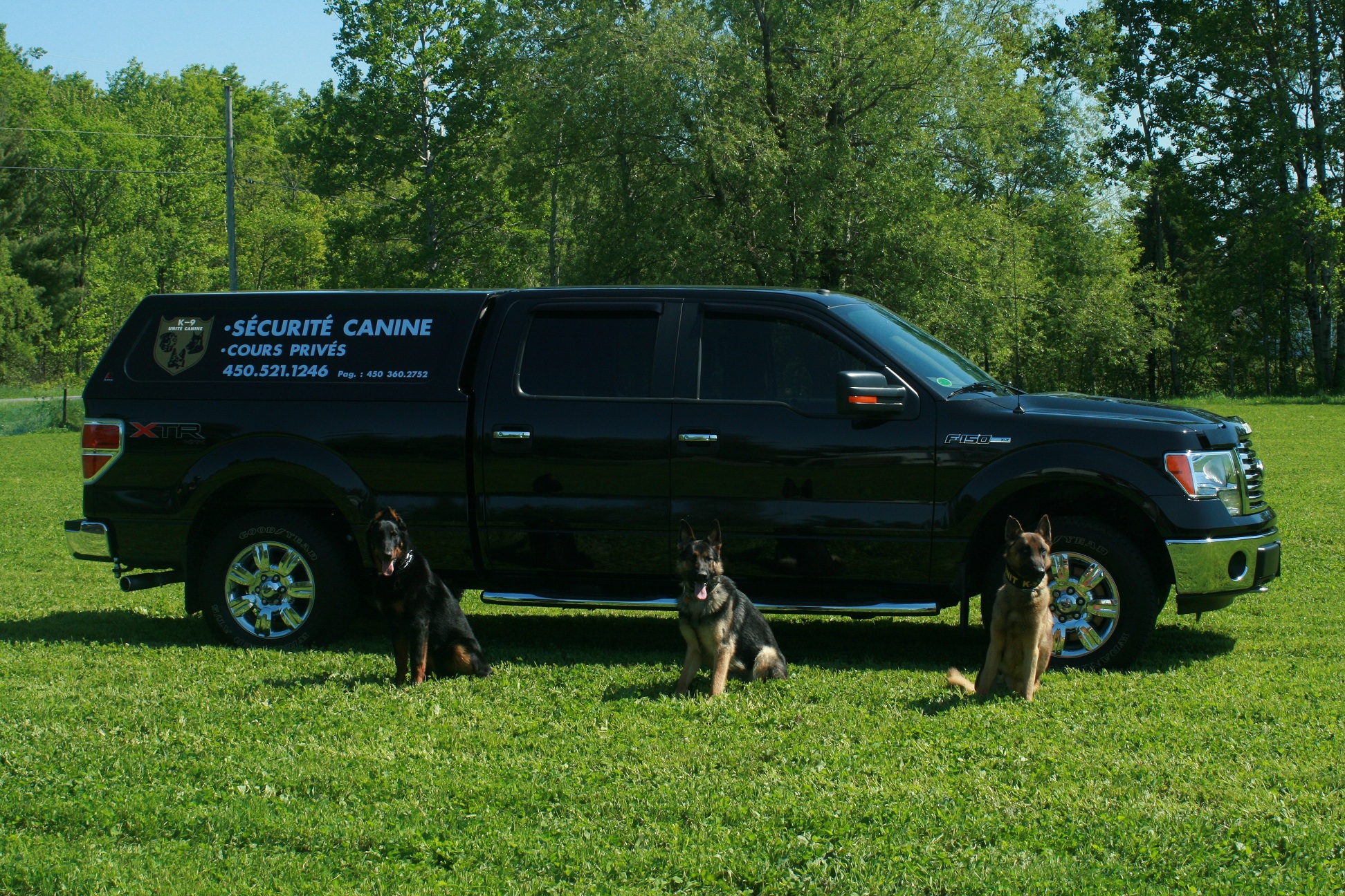 K-9 Unité Canine